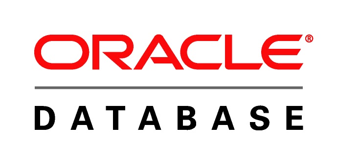 Oracle DataBase Logo